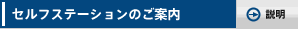 �Z���t�X�e�[�V�����̂��ē�